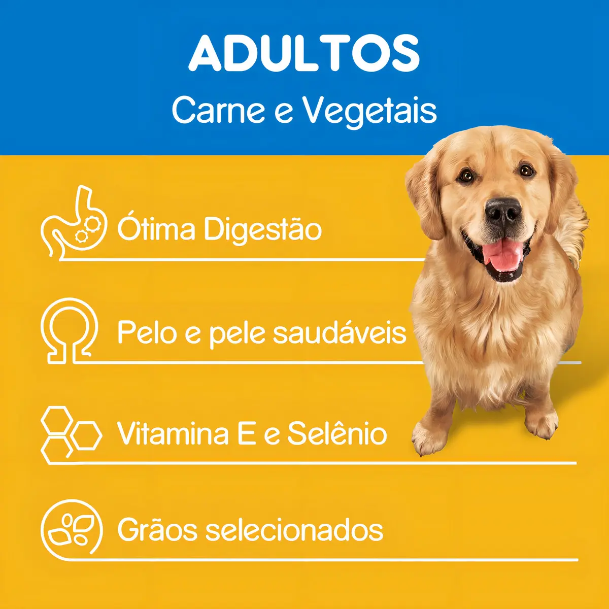 Ração Pedigree Vital Protection 15kg - Carne e Vegetais para Cães Adultos Médios e Grandes versao 2